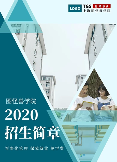 学院学校招生简章简约大气宣传单