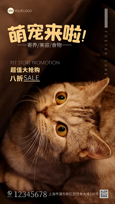 宠物店促销宣传大气黄色摄影图海报