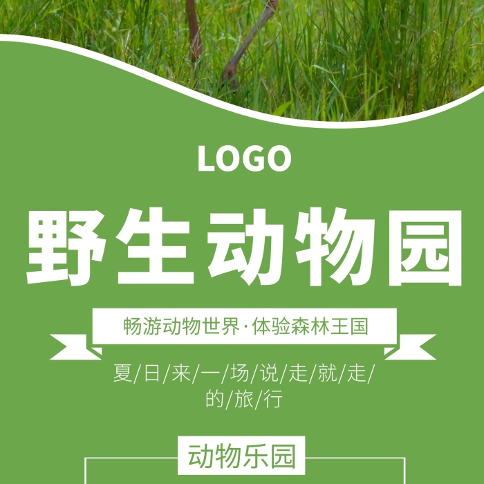動物園綠色旅游簡約森林