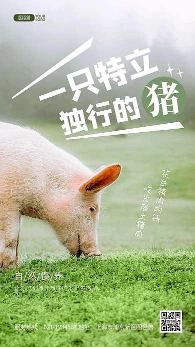 绿色原生态大自然牲畜猪推广摄影图海报