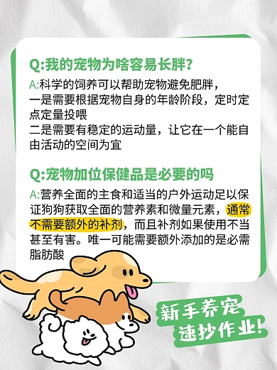 宠物科学喂养健康科普小红书内页