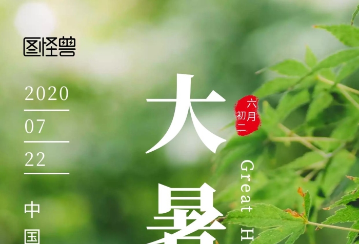 大暑知了猴蟬簡(jiǎn)約卡通綠色豎版手機(jī)海報(bào)