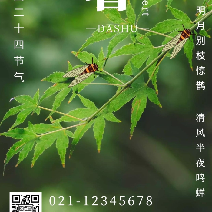 大暑知了猴蟬簡(jiǎn)約卡通綠色豎版手機(jī)海報(bào)