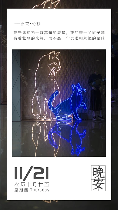 猫咪 霓虹头 街头 晚安 励志语录 日签