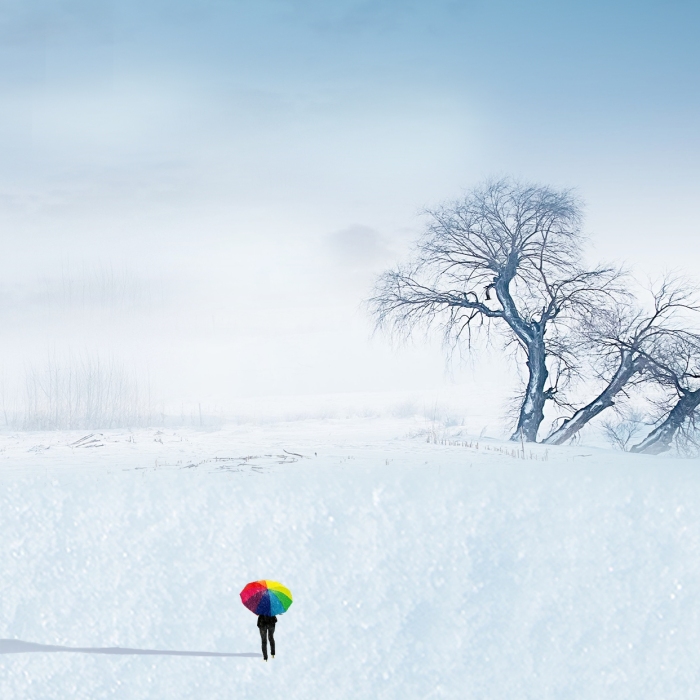 原创质感简约大寒节气问候全屏海报