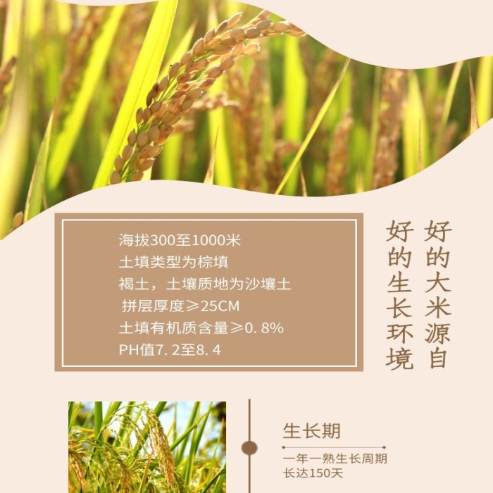 電商食品簡約富硒米五谷雜糧詳情頁