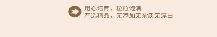 電商食品簡約富硒米五谷雜糧詳情頁