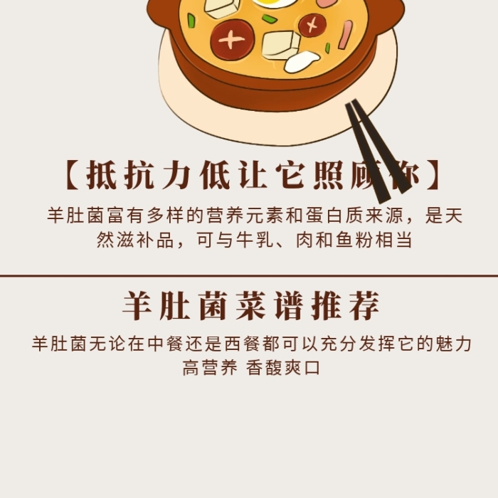 羊肚菌詳情頁