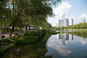 北京奥体中心公园图片