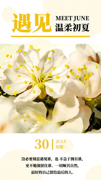 2019淡黄色清新白色花朵日签GIF海报