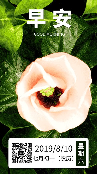 2019绿色清新玫瑰日签GIF海报