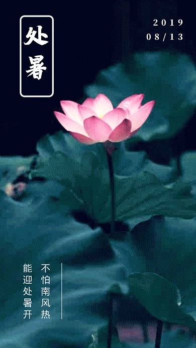 2019简约荷塘月色处暑GIF海报