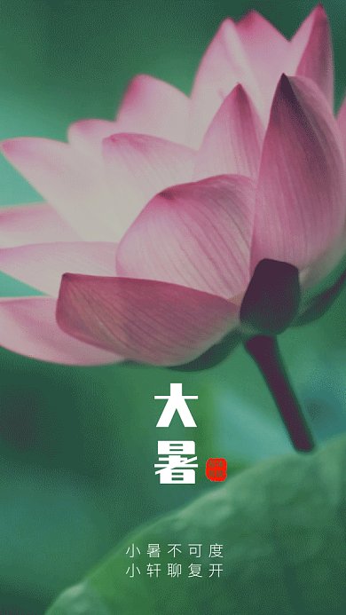 2019简约荷花大暑节气GIF海报