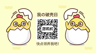 黄色破壳小鸡GIF横图