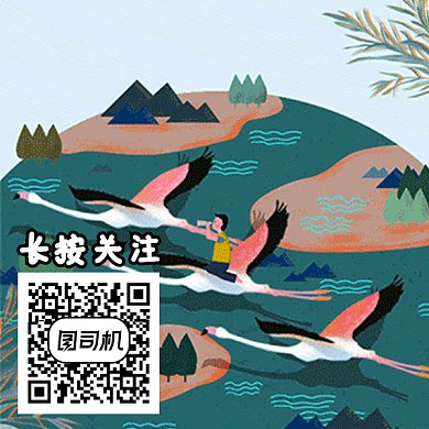 简约清新鹤树花卡通gif二维码