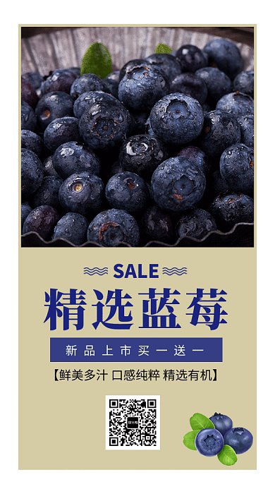 2019创意蓝莓促销广告GIF海报
