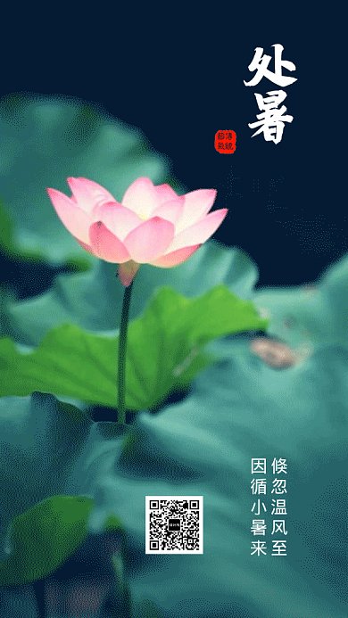2019荷花简约处暑节气GIF海报