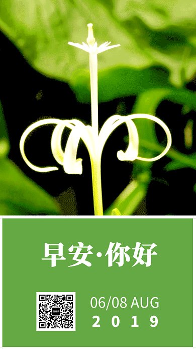 2019绿色清新植物绽放日签GIF海报