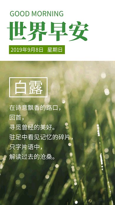 清新简约世界早安日签GIF海报