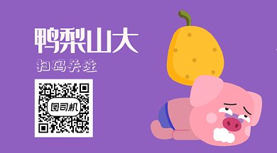 简约鸭梨小猪GIF横图