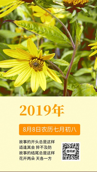 清新文艺每日一签GIF海报