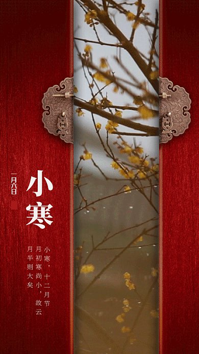 传统节气之小寒gif手机海报