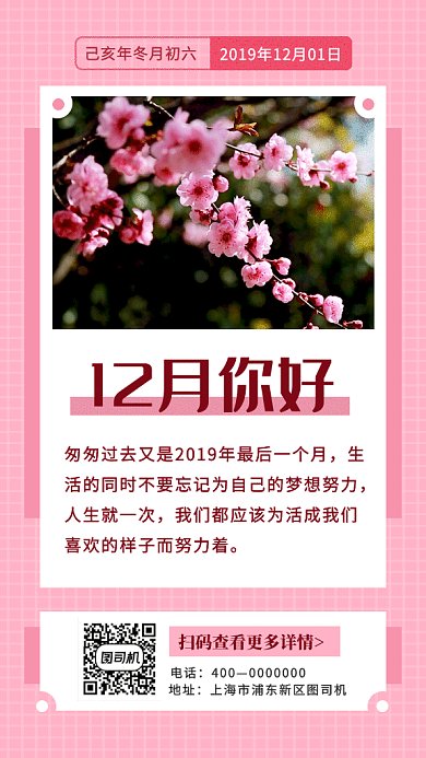 粉色清新梅花开放12月你好GIF海报