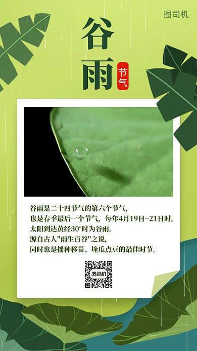 手绘谷雨节气植物雨水荷花gif海报