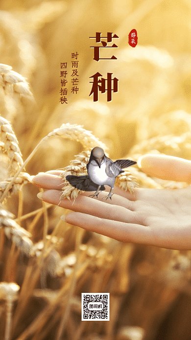 芒种节气GIF动态海报