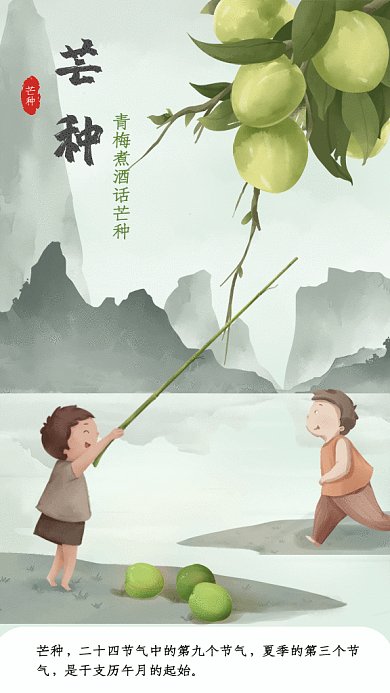 芒种节气GIF动态海报
