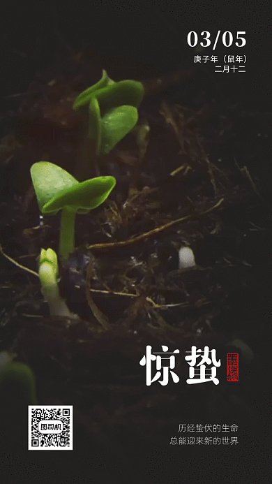 黑色简约惊蛰节气植物生长GIF海报