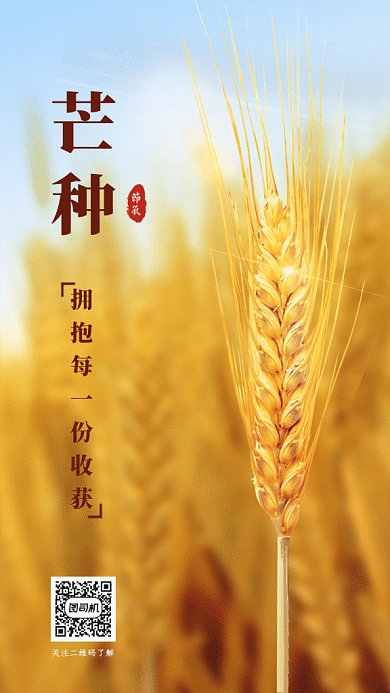 芒种节气GIF动态海报