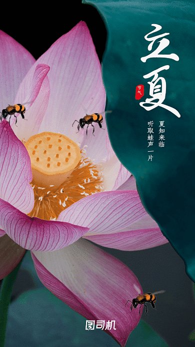 立夏节气GIF动态海报