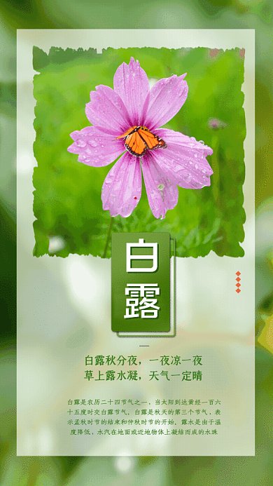 白露节气GIF动态海报
