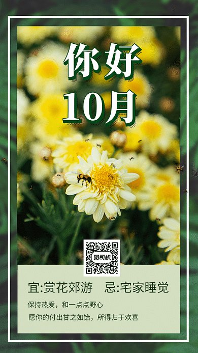 你好十月赏菊花写实gif海报