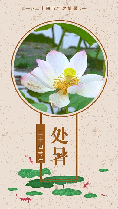 二十四节气之处暑gif手机海报