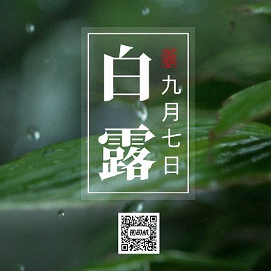 二十四节气之白露gif二维码