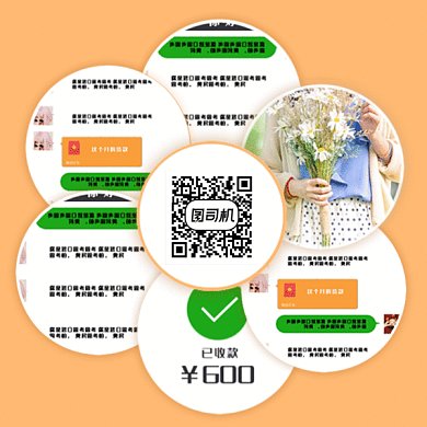 简约扫码关注gif二维码