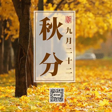 唯美秋分gif二维码