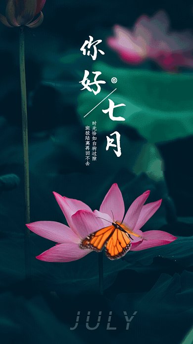 你好七月GIF动态海报