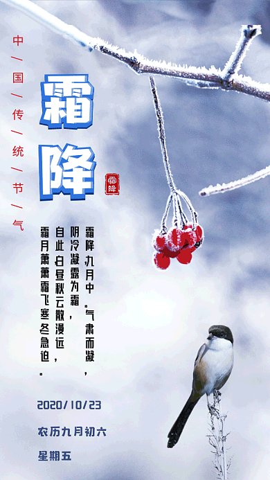 霜降节气写实gif海报