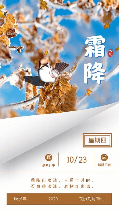 霜降节气GIF动态海报