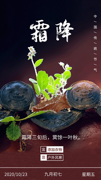 霜降节气墙头野草霜风写实gif海报