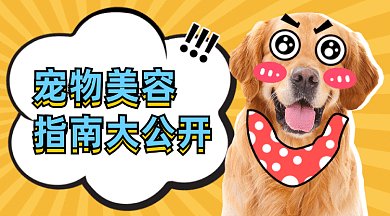 宠物美容指南大公开gif横图