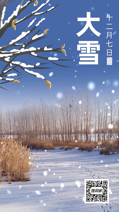 唯美实景二十四节气之大雪gif竖版海报