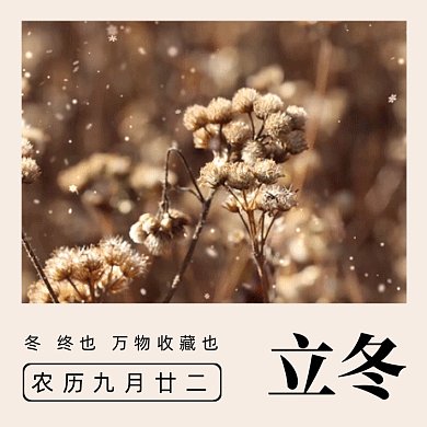 立冬唯美冬季风景节气gif文章配图