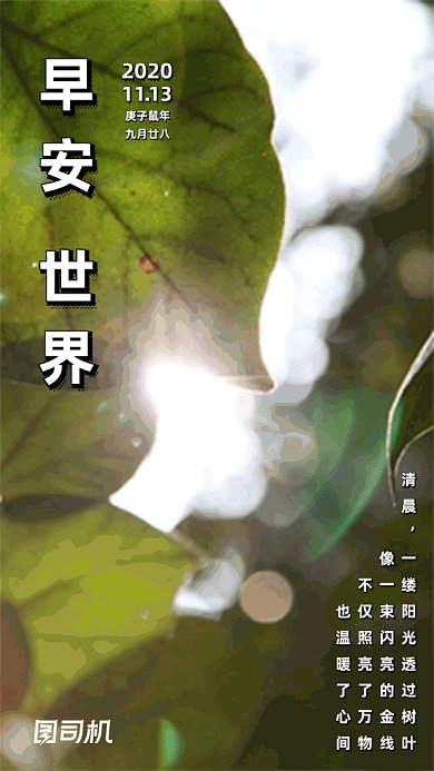 清新简约11月日签gif竖版海报
