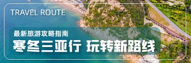旅游实拍风景三亚行gif超链接配图