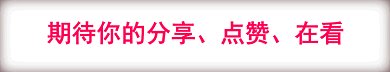 玫瑰花掉落动态分割线