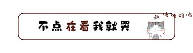 小猫卡通风格动态在看提示